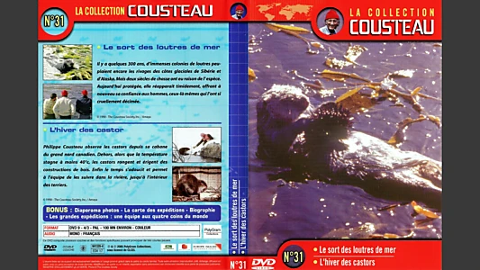 The Cousteau Collection N°31-1 | The Fate of Sea Otters