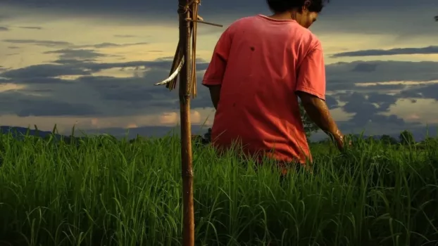 Watch Agrarian Utopia Trailer
