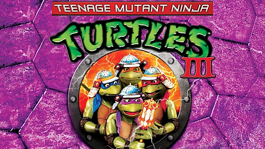 Teenage Mutant Ninja Turtles III