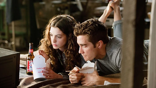 Love & Other Drugs