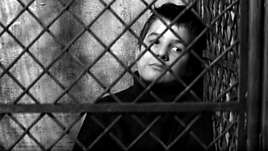 The 400 Blows