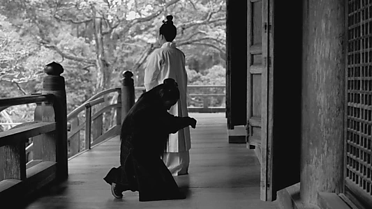 The Assassin