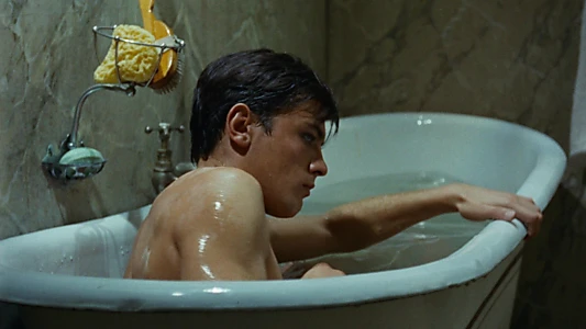 Purple Noon