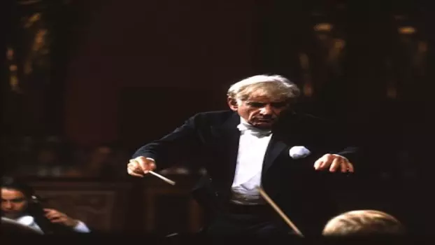 Bernstein Brahms Symphonies