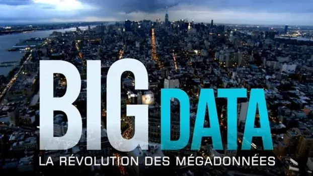 Big Data - La révolution des mégadonnées