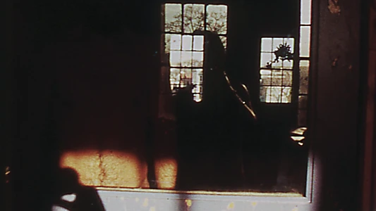 Glass Shadows