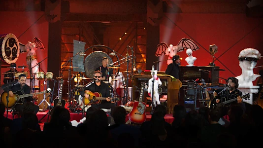 Molotov MTV Unplugged: El Desconecte