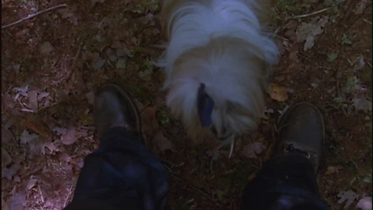 Friday the 13th Part 2