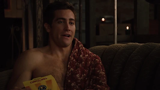 Love & Other Drugs