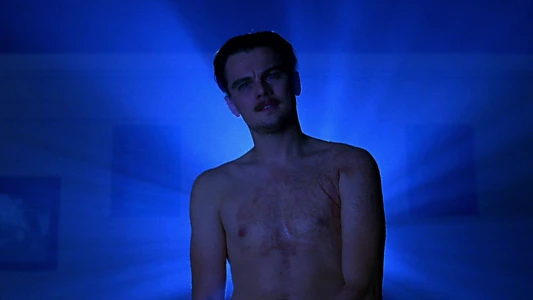 The Aviator