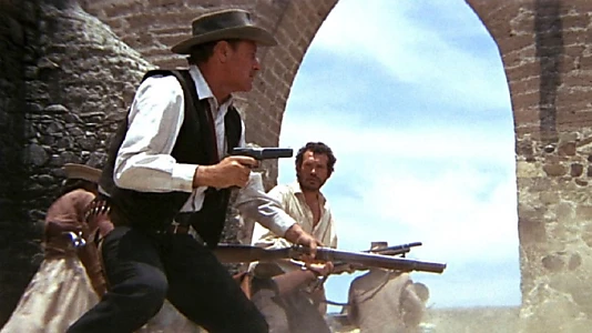 The Wild Bunch