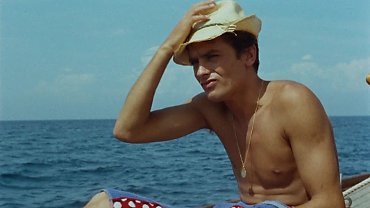 Purple Noon
