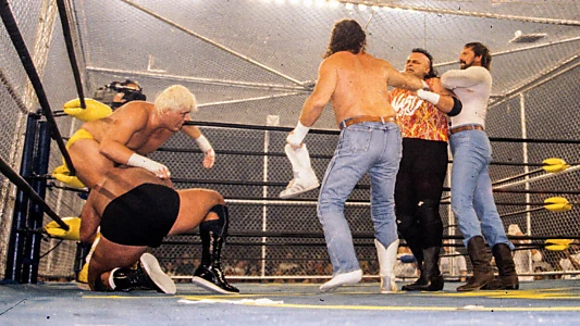 WCW Fall Brawl 1994