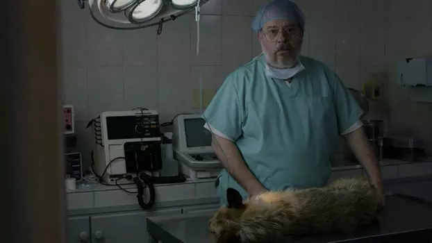 Watch A Dog's Death Trailer