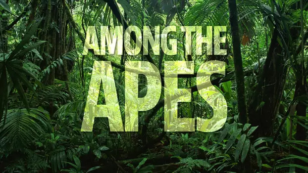Watch Among the Apes Trailer