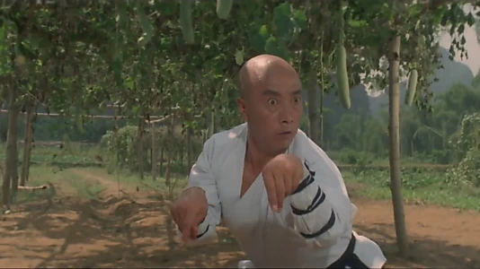 Watch Martial Arts of Shaolin Trailer