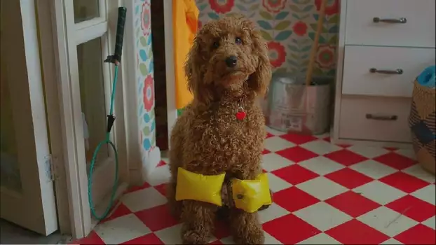 Watch Waffle the Wonder Dog Trailer
