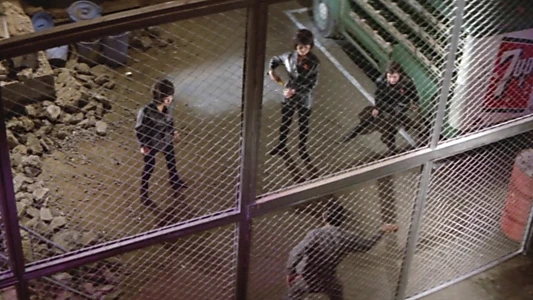 Black Tight Killers