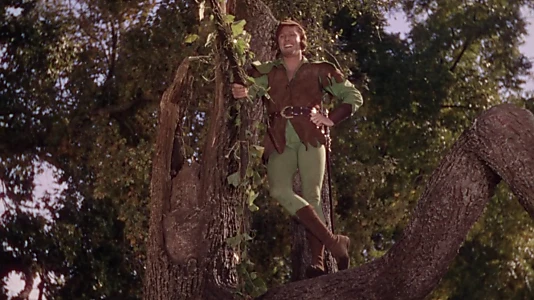 The Adventures of Robin Hood