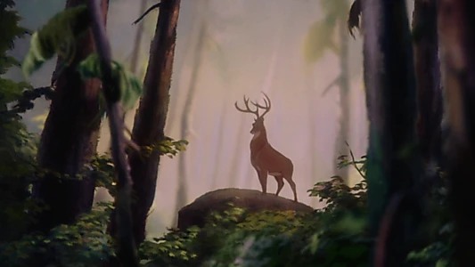 Bambi