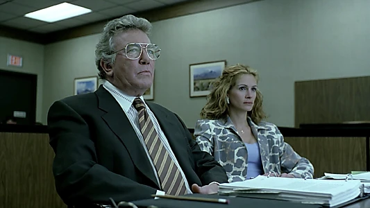 Erin Brockovich