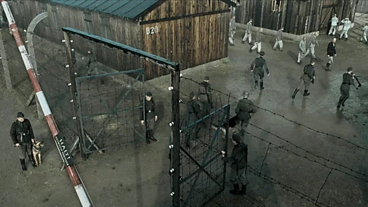 The Boy in the Striped Pyjamas