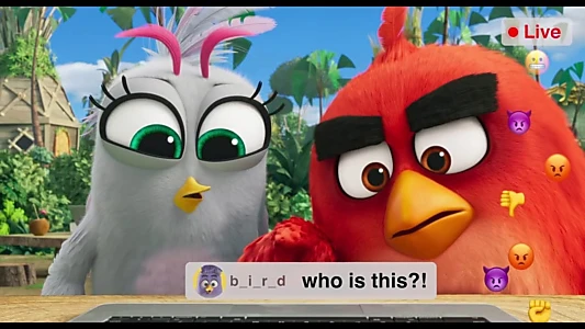 Angry Birds: Live Stream