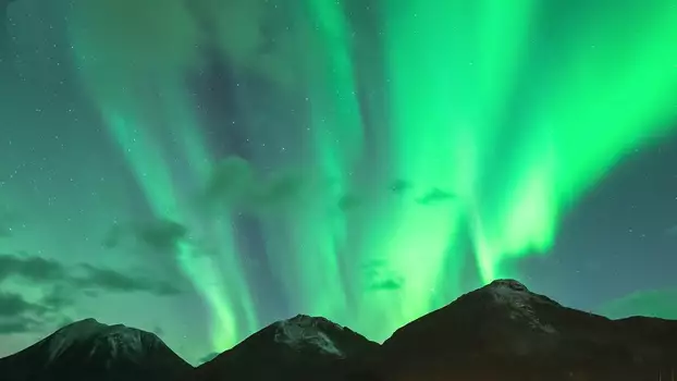 Aurora Borealis: An Evening under the Northern Lights