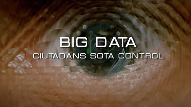 Big Data. Ciudadanos bajo control