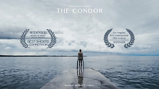 The Condor