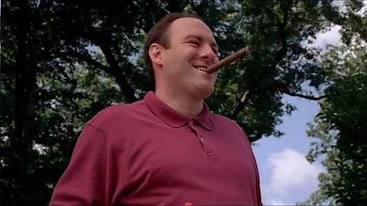 Wise Guy: David Chase and The Sopranos