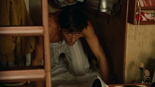 Purple Noon