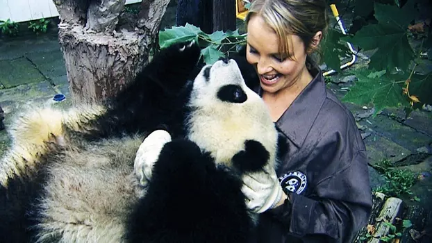 Watch Sneezing Baby Panda: The Movie Trailer