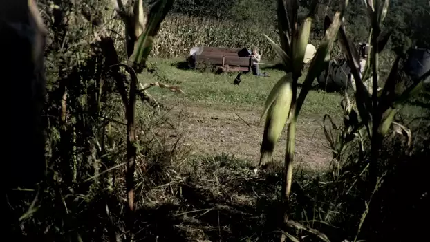 Watch The Fields Trailer
