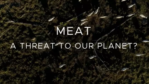 Meat: A Threat to Our Planet