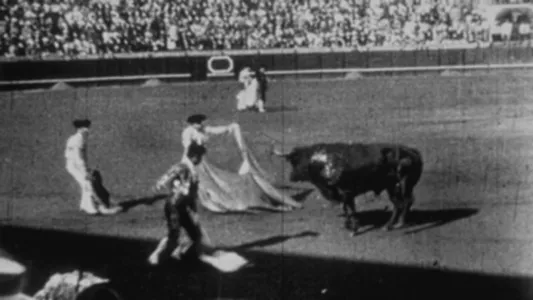 Spain: Bullfighting