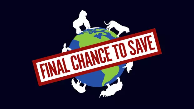 Watch Final Chance to Save Trailer