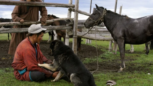 Watch The Bounty Hunter of Mongolia Trailer