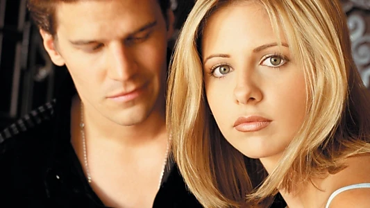 Buffy the Vampire Slayer