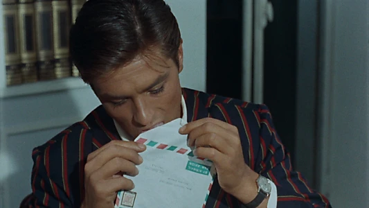 Purple Noon