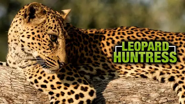 Leopard Huntress