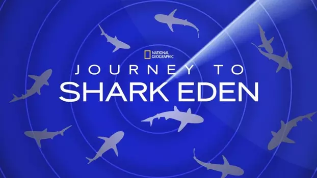 Watch Journey to Shark Eden Trailer