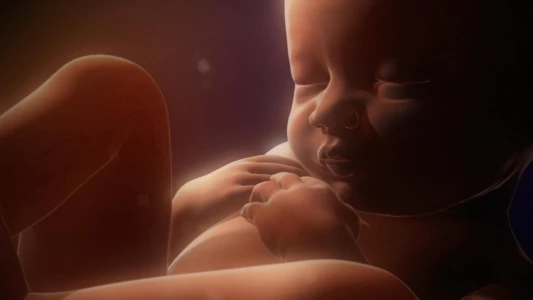 Watch In the Womb: Multiples Trailer