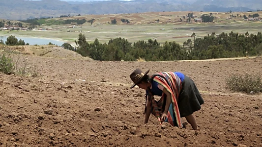 Mothers of the Land