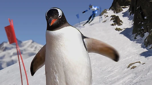 Animal Winter Olympics