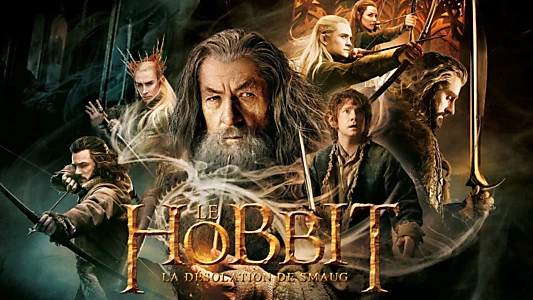 The Hobbit: The Desolation of Smaug