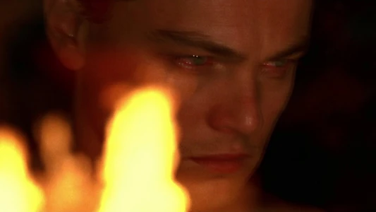 The Aviator