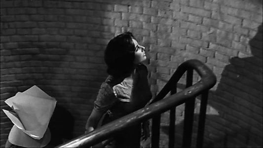 Suddenly, Last Summer