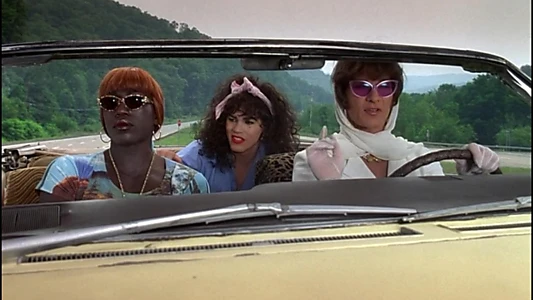 To Wong Foo, Thanks for Everything! Julie Newmar
