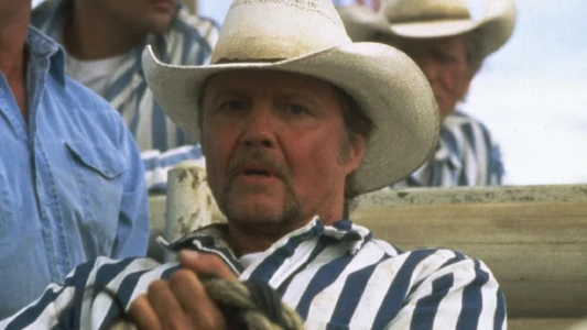 Voir Convict Cowboy Trailer
